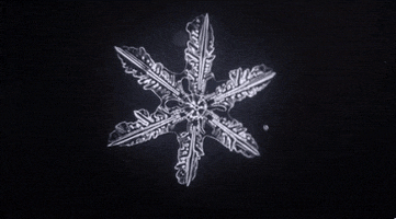 snowflake microscope GIF