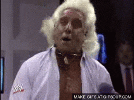 Excited Ric Flair GIF
