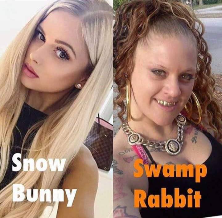 snow-bunny-swamp-rabbit.jpg