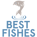 www.bestfishes.org.uk